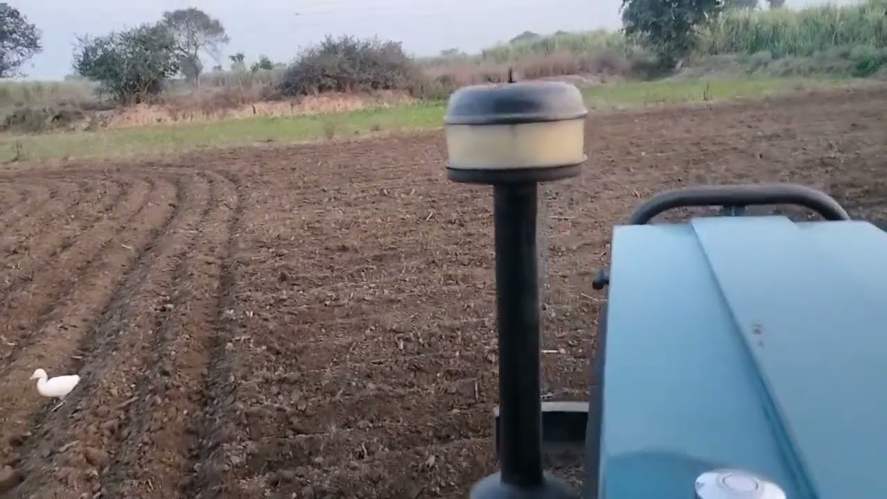 5 दिसम्बर को गेहूं की बुआई करी