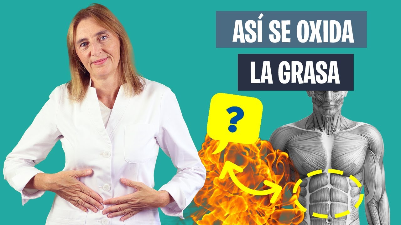 ¿CÓMO se QUEMA la GRASA? | Mecanismo de pérdida de grasa corporal | Nutrición deportiva