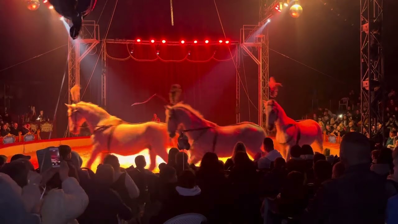 Cirkus Aleš 🫶🏻Humenné 2024