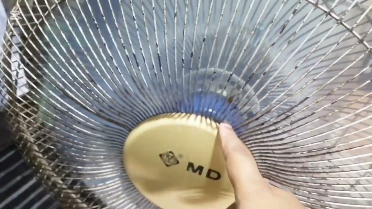 All fans in my house