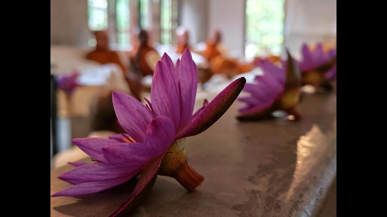 ඵල සහ අපල