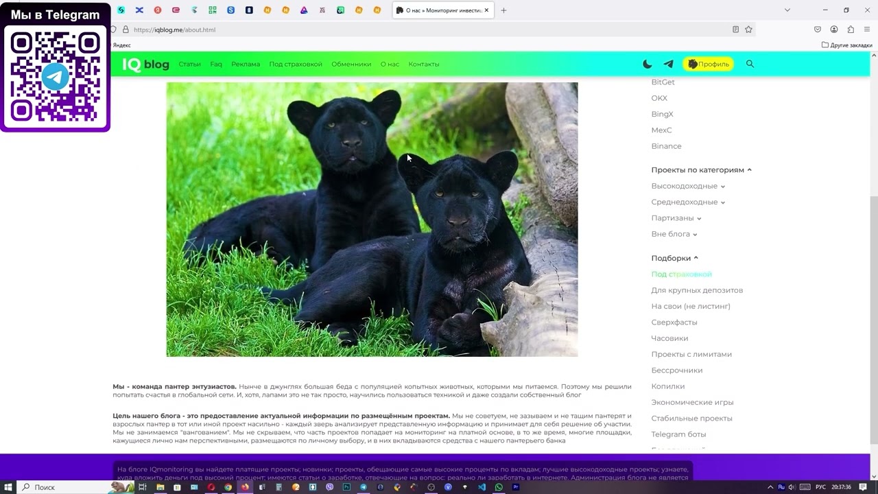 Путеводитель по нашему блогу - мониторингу инвестиционных HYIP проектов IQmonitoring (IQblog)