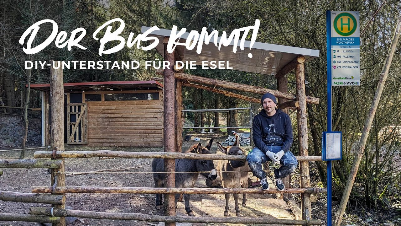 Überdachung selbst bauen - Bushaltestelle für die Esel