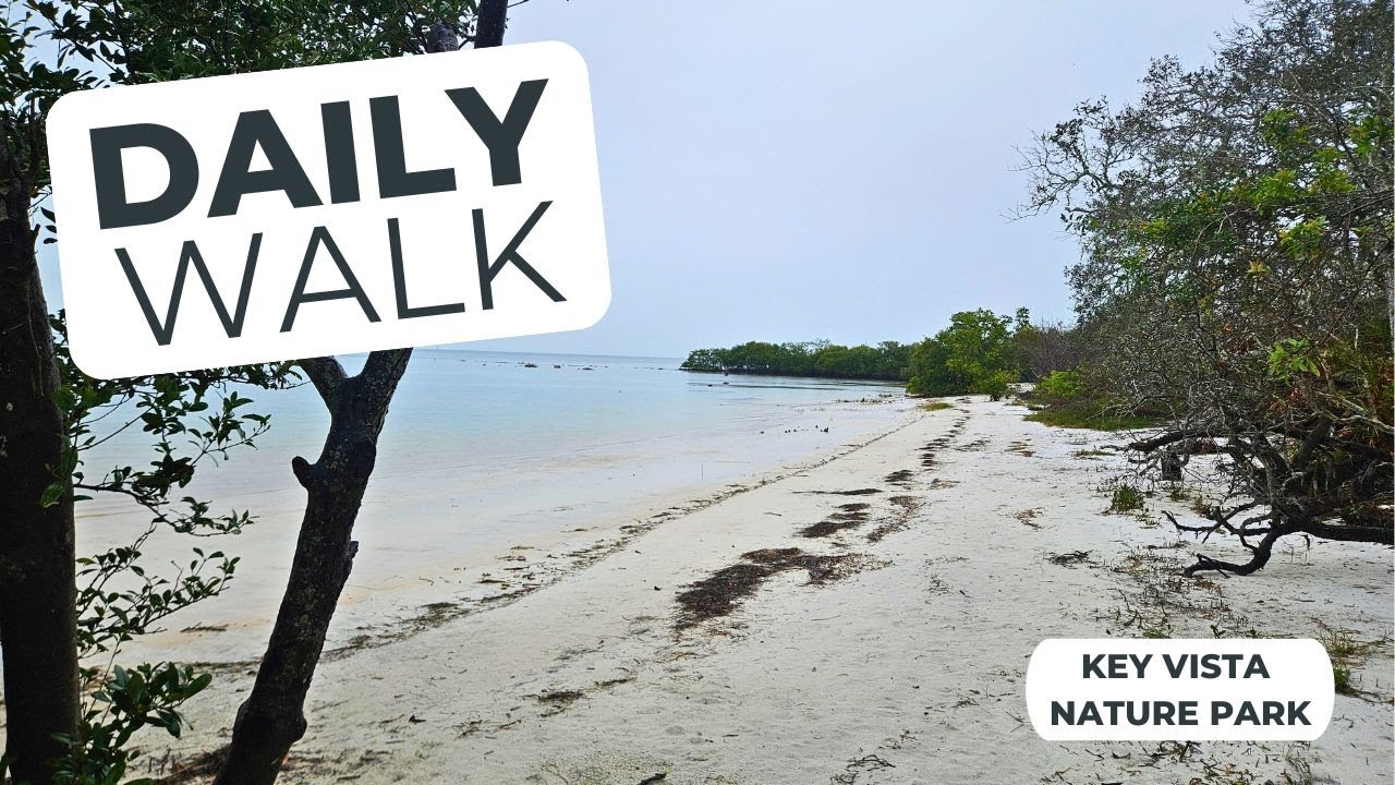 Daily Walk: Key Vista Nature Park