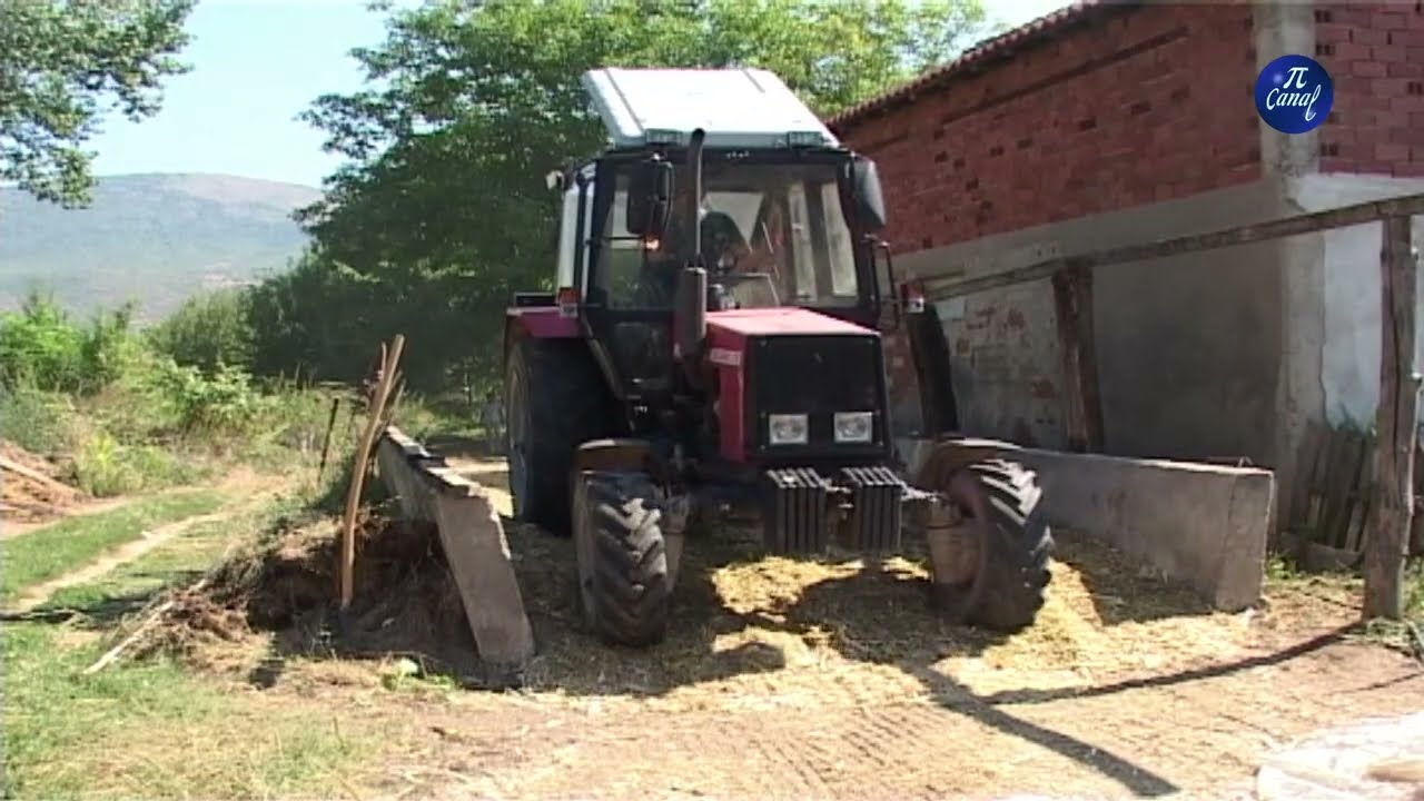 Spremanje silaže privodi se kraju