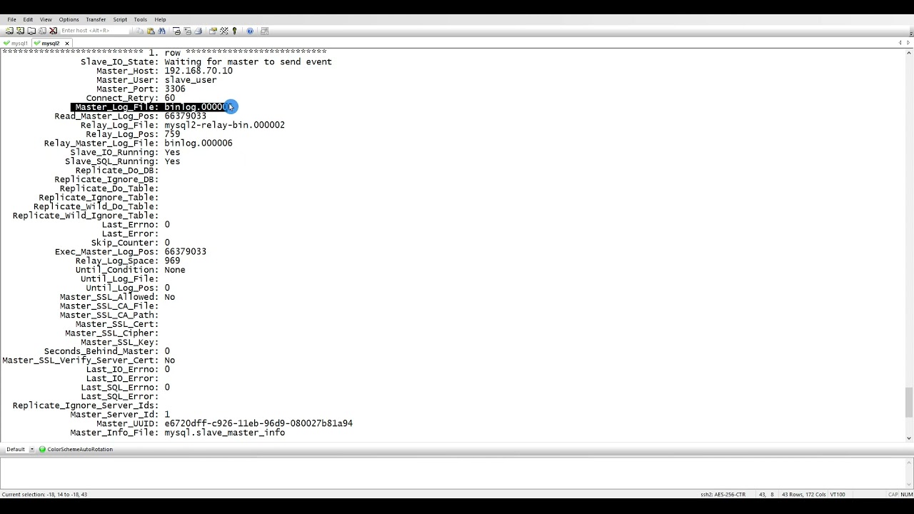 06  what does Show slave status means | MySQL Replication tutorial