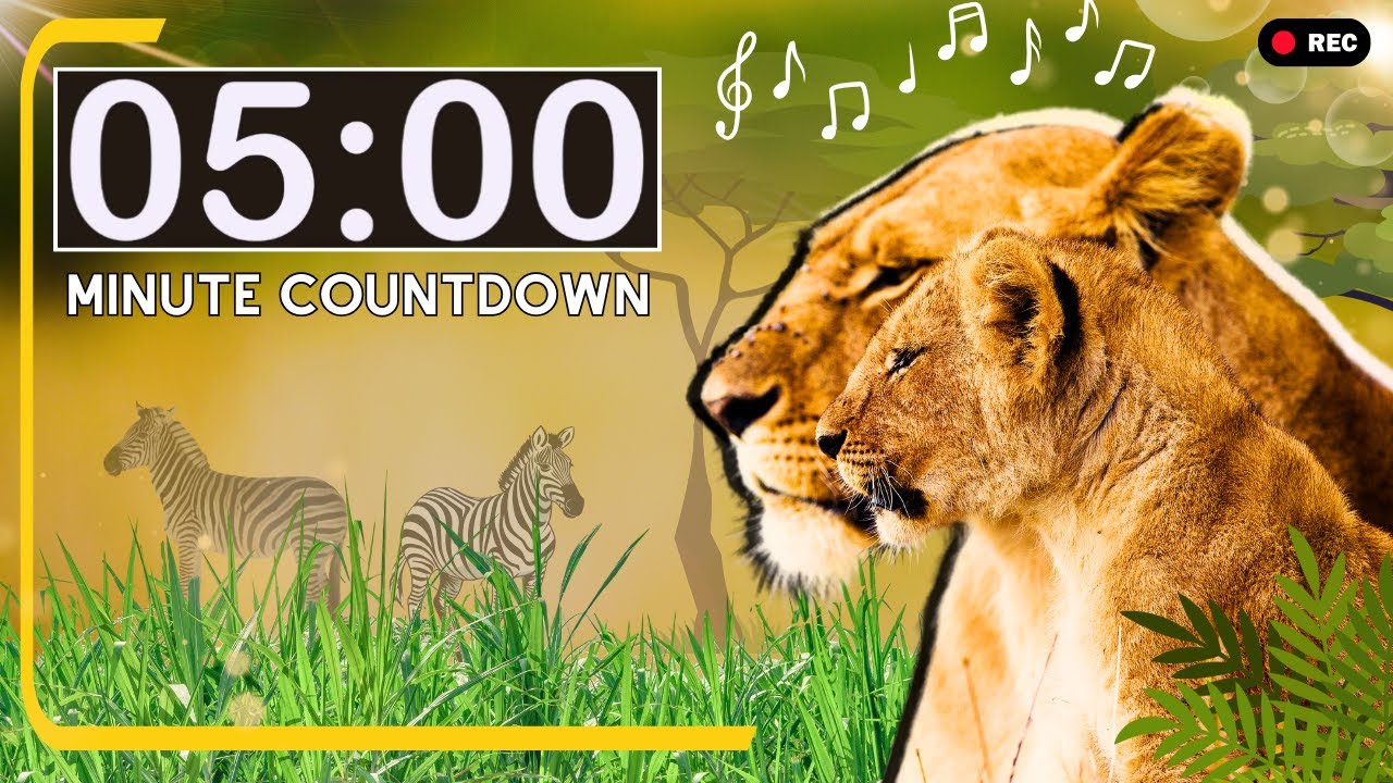 Relaxing Nature African Safari | 5 Minute Countdown Kids Timer | Africa Unit | Classroom Management