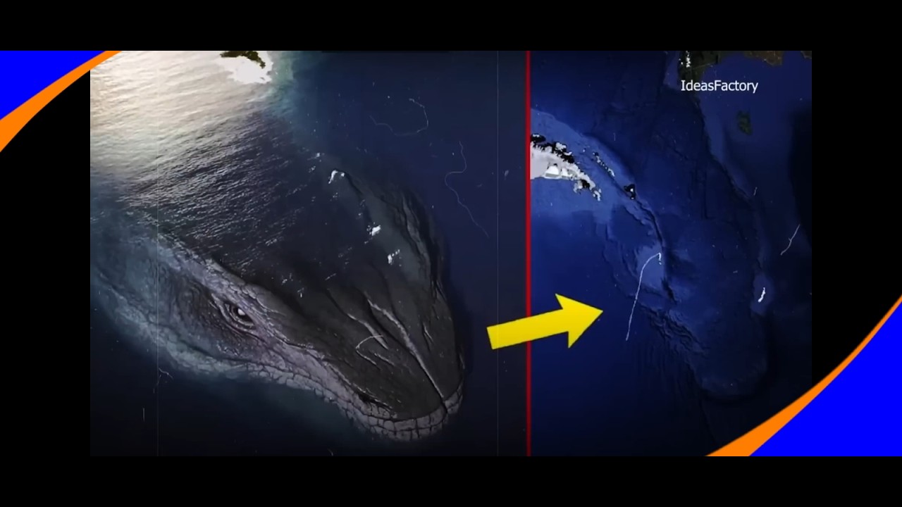🚨LEVIATÃ: O monstro aterrorizante que despertou depois de anos