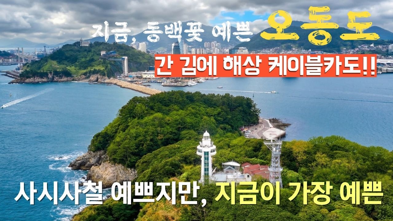 동백꽃이 반겨주는 여수 오동도와 여수 바다와 시내를 조망하는 쪼리한 해상 케이블카 #오동도 #여수 #해상 케이블카 #동백꽃