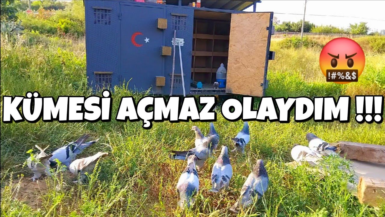 DAMIZLIK KÜMESİNİ Bİ AÇTIM OLAN OLMUŞ ‼️ MORAL SIFIR ‼️ 