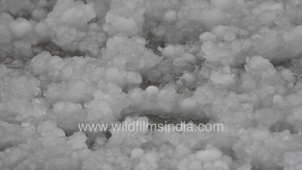 Hail falling in Mussoorie is a sign of climate change: Shift in Himalayan rainfall receipt patterns