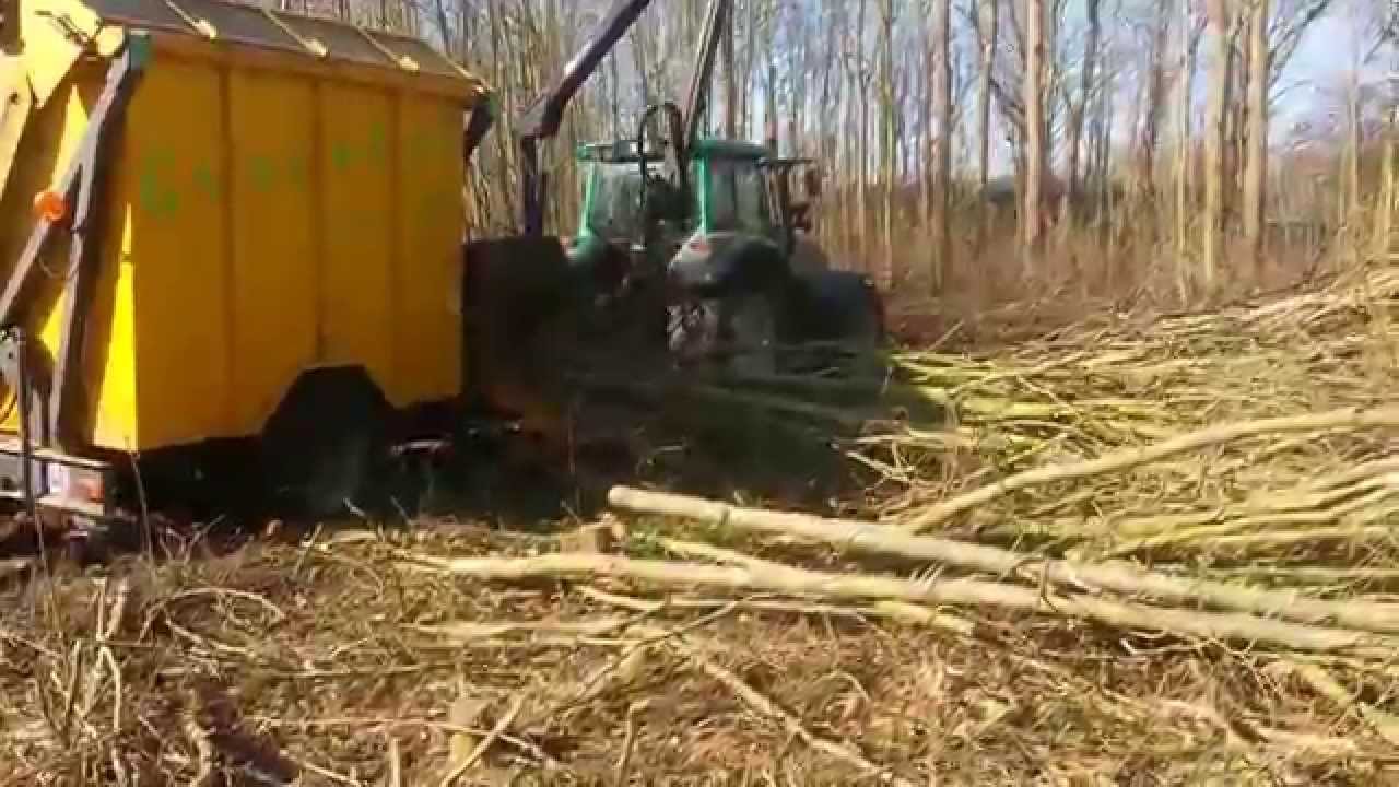 20150312_104056.mp4