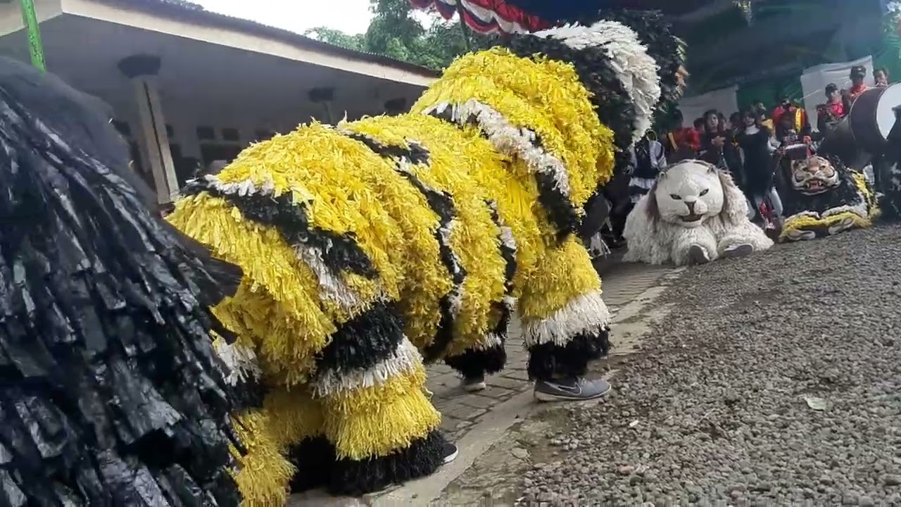 Drumband assobirin tamanan