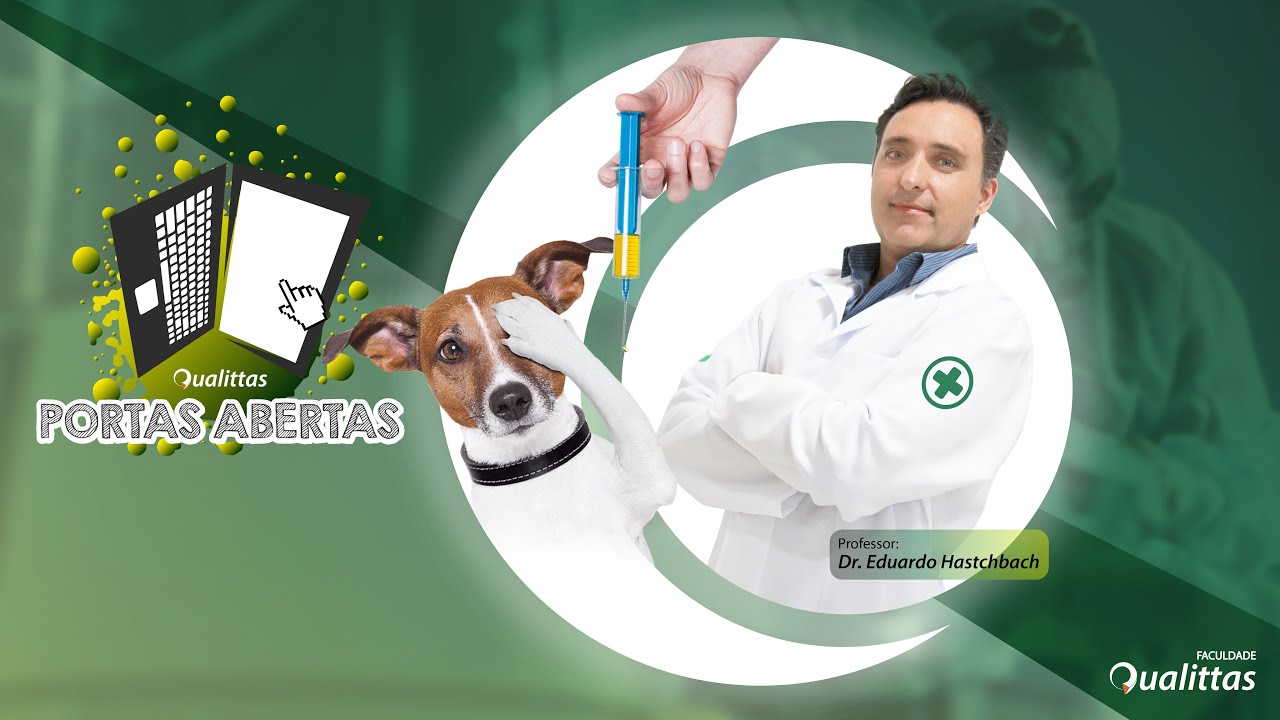 Como é a Pós-Graduação em Anestesiologia Veterinária da Faculdade Qualittas?
