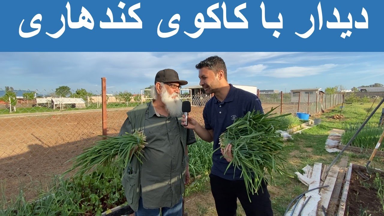 دیدار وطندار با کاکوی قندهاری این پنجشنبه ساعت 7 شام کابل/ Didar Watandar This Thursday 7pm KBL time