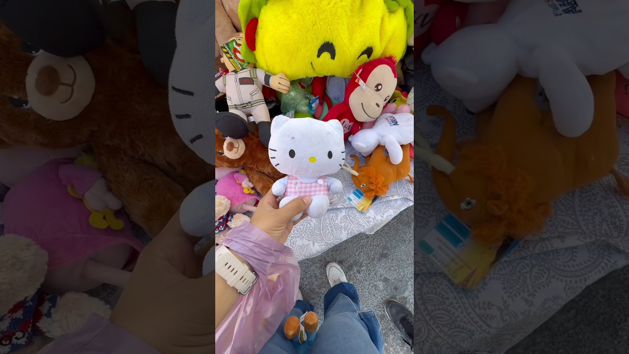 Cap. 31 1/2 Cazando la Kitty en el Tianguis. #hellokitty #tianguis #kittylover #coleccion #juguetes