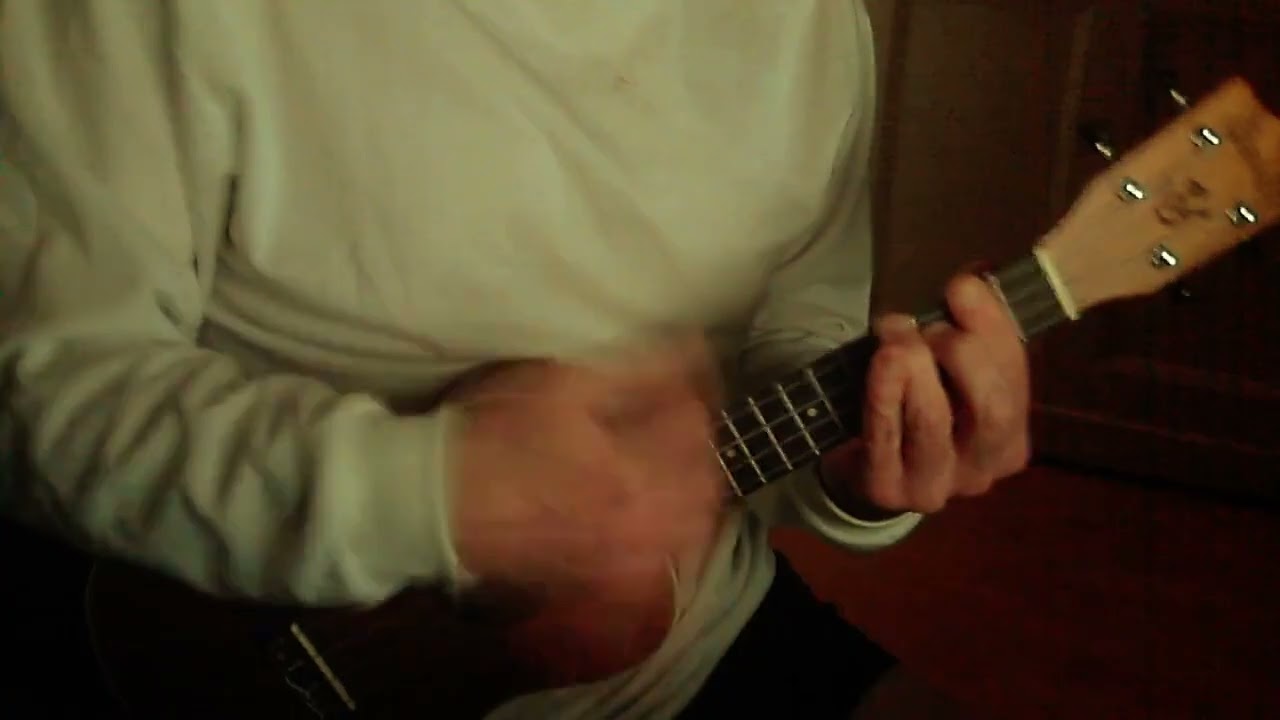 【Beatles】Day tripper (ukulele cover)