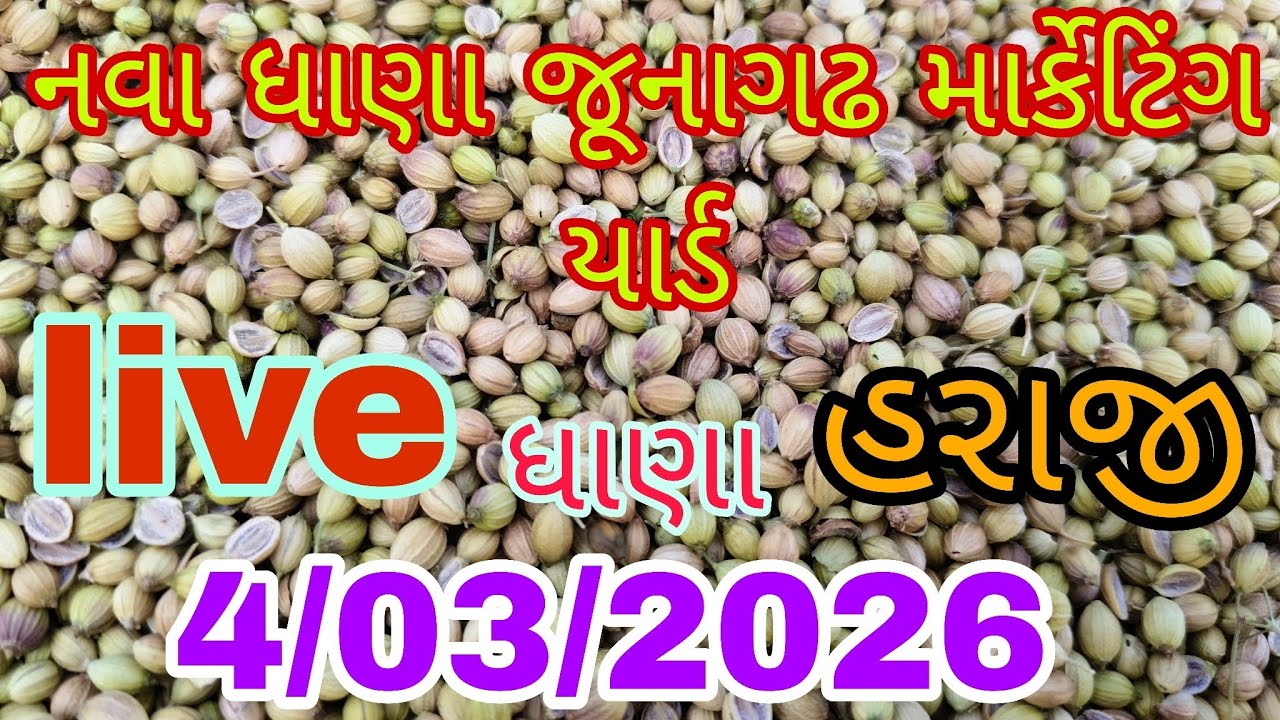 નવા ધાણા લાઈવ હરાજી જુનાગઢ માર્કેટિંગ યાર્ડ .4/03/2026 junagadh marketing yard