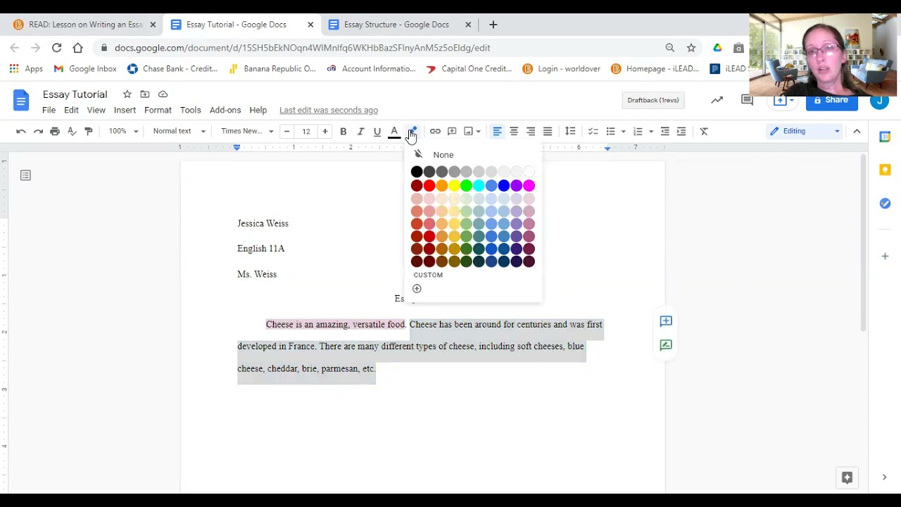 Writing an Essay Lesson