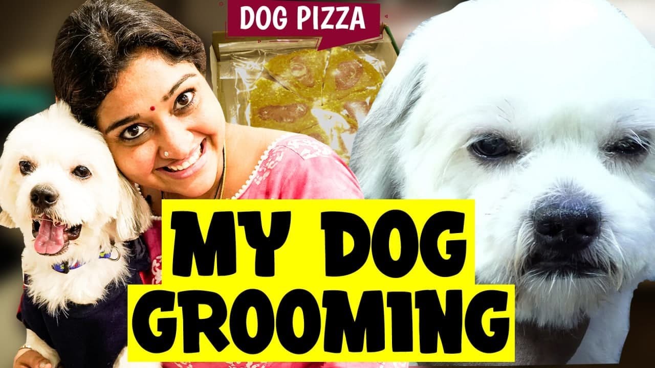 My Dog Grooming🐶😍 | Fun Vlog with Neelima Esai | Neels