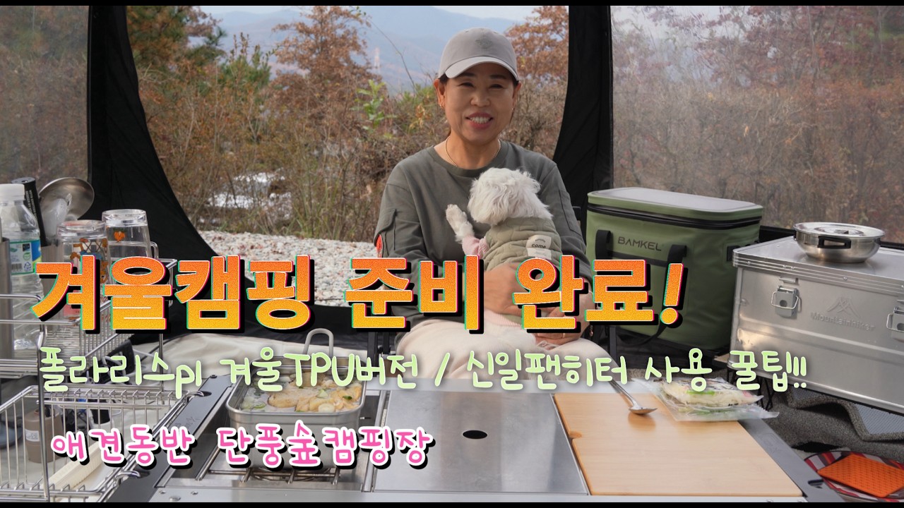 #캠핑 / 겨울캠핑 난방 꿀팁! 폴라리스 P1 TPU 사용후기 + 신일팬히터 | 단풍숲 애견동반 캠핑”