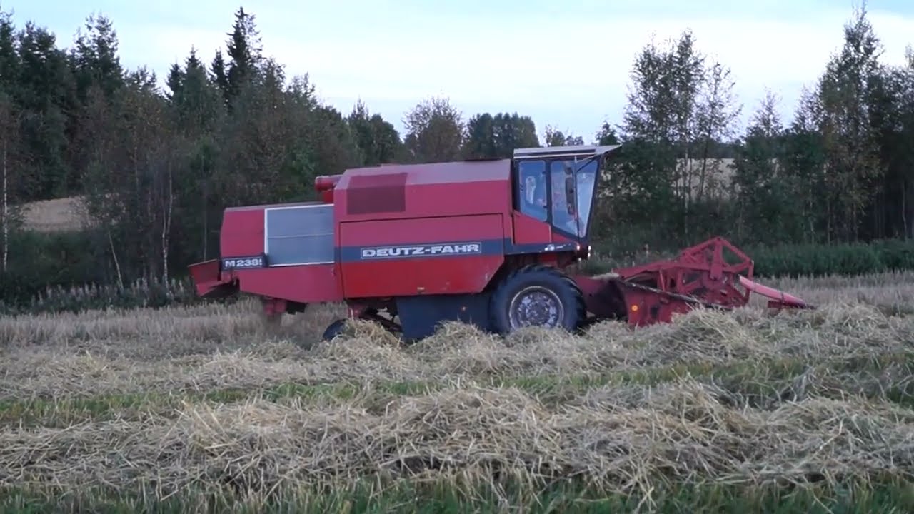Tr&ouml;skning i Hissj&ouml; 2024. Deutz-Fahr M2385.