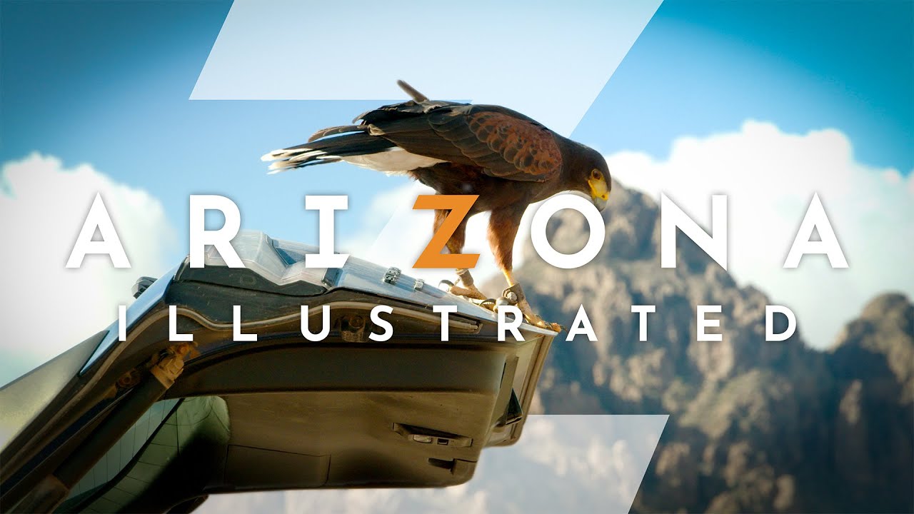 Arizona Illustrated 1212: Falconry, Rare Plants & Peach&rsquo;s Pantry