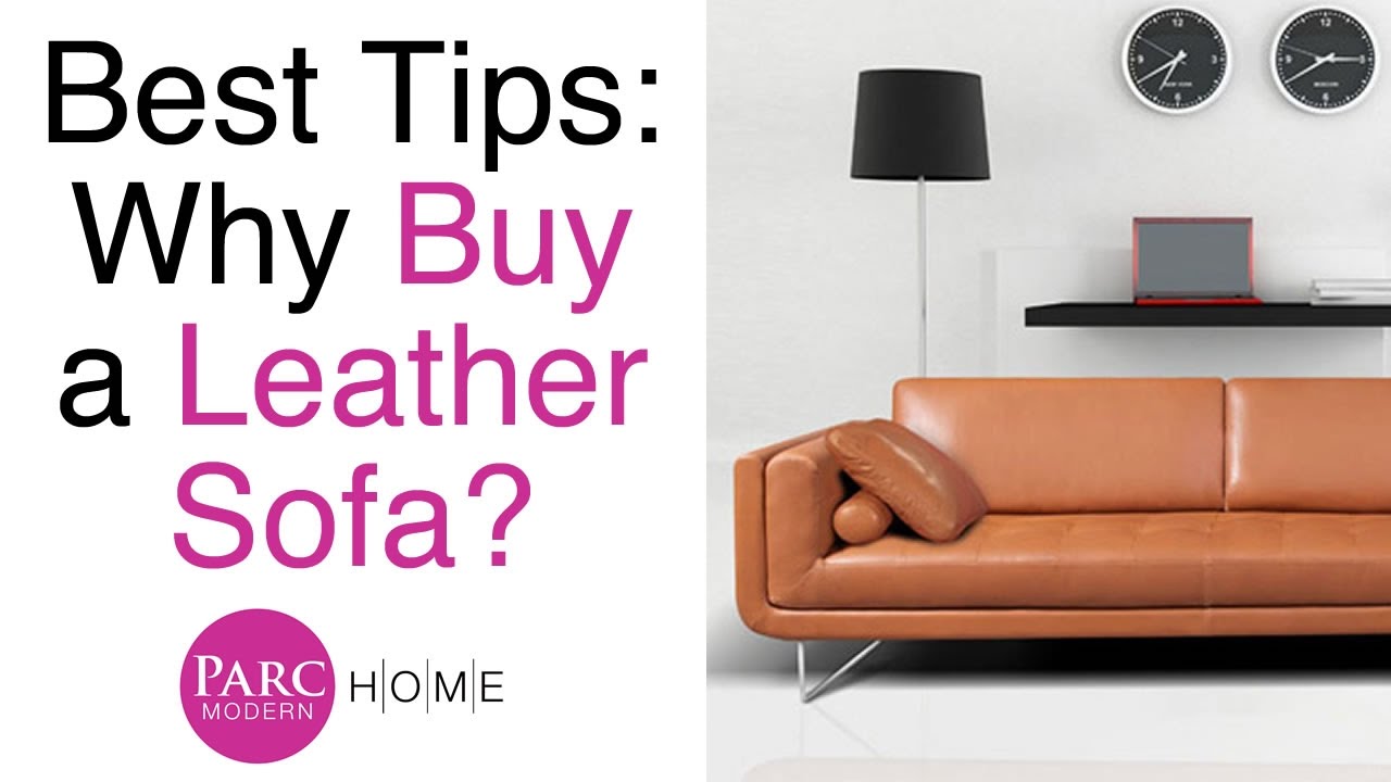 Insider Tips on Buying a Leather Sofa & Furniture | Parc Modern