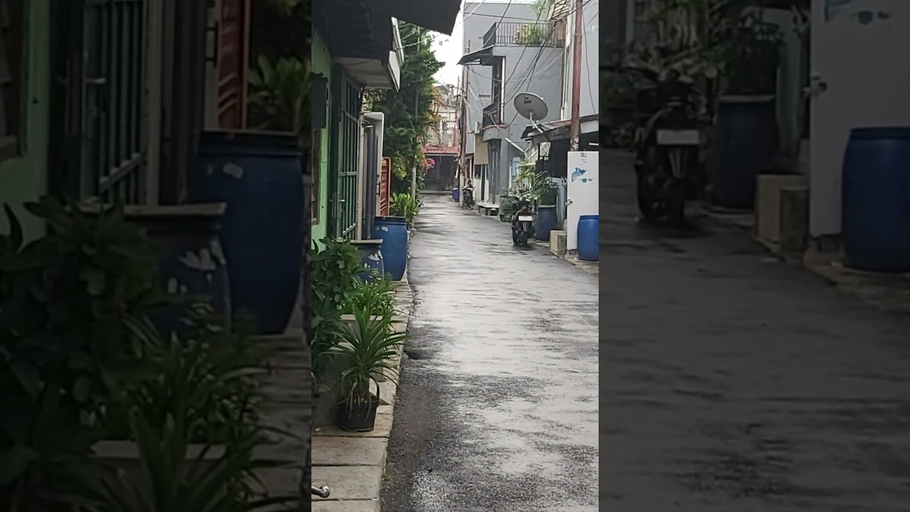 latihan mandiri 