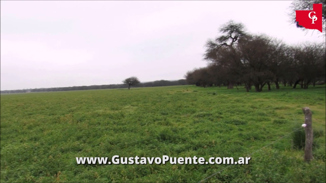 Campo en venta en La Pampa 670 hectáreas - LA PANTANOSA