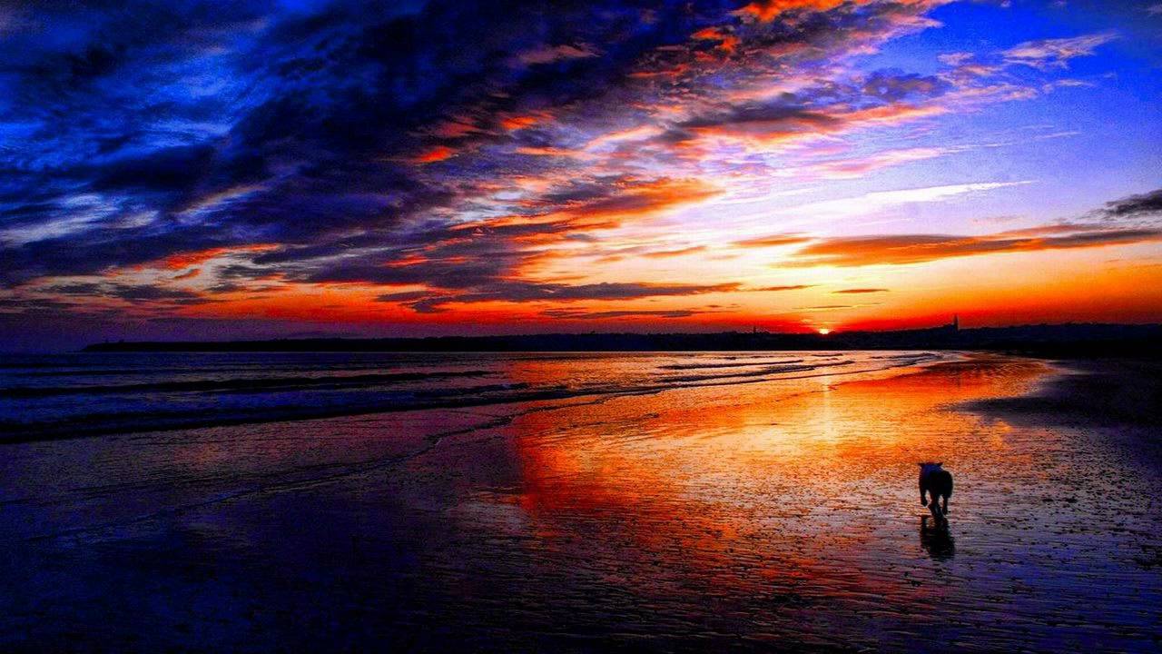 Shogun feat. Emma Lock - Imprisoned (Original Mix) [HD] + Lyrics