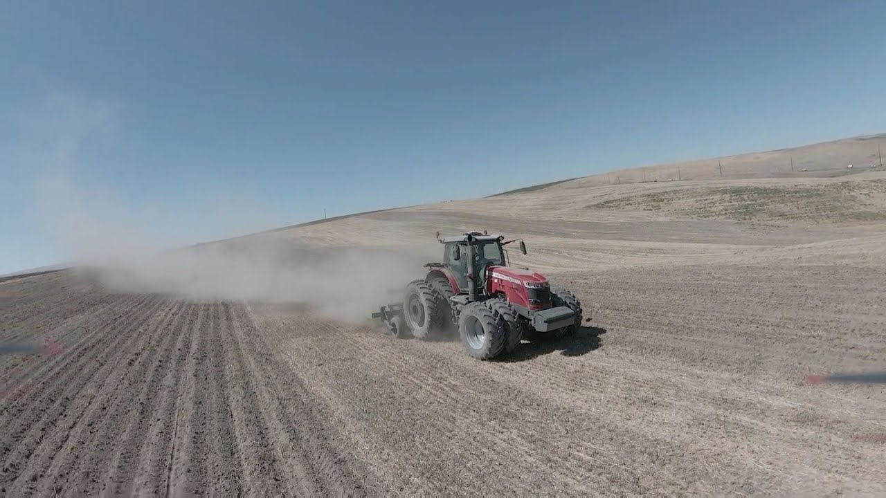 Hay Seeds: Where Alfalfa Comes From