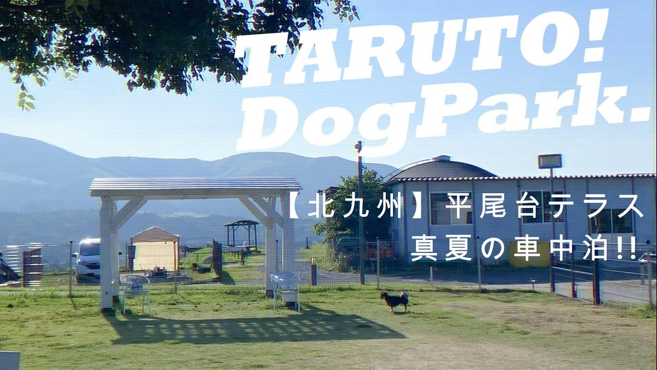 【北九州市 RVパーク平尾台テラス】初の真夏車中泊。愛犬タルトは初めてのドッグラン！！