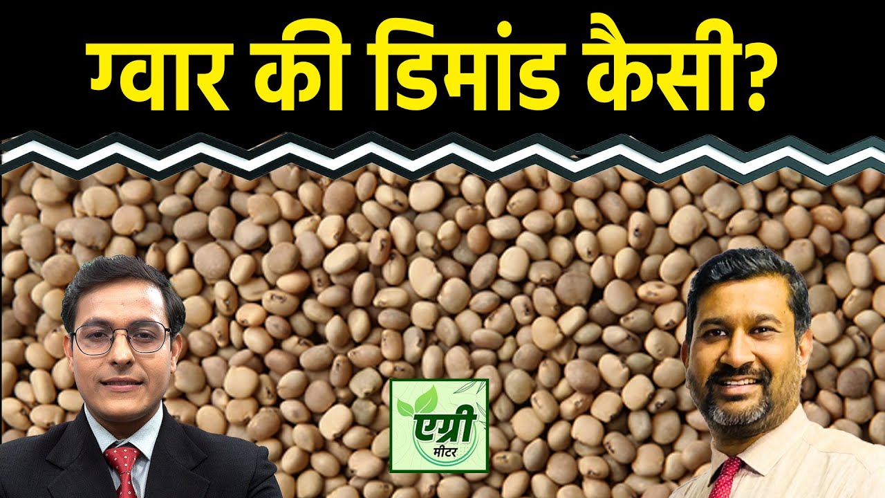 Commodity Market : Guar उत्पादन को लेकर क्या है ताजा अनुमान? Trading | NCDEX | Agri Commodity