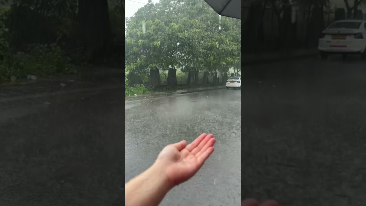 Enjoying rain 🌧
