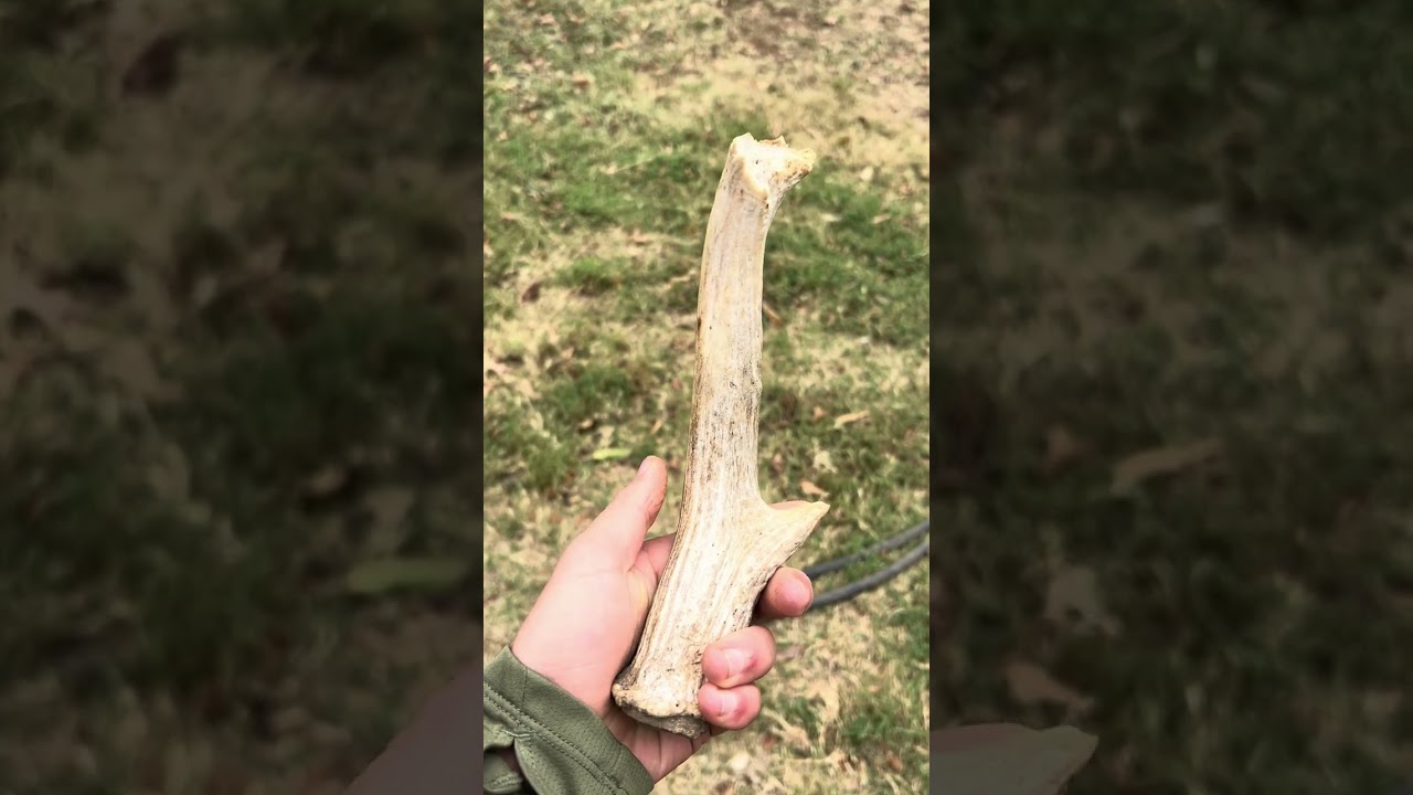 Bear Newcomb making a primitive knife using Georgetown chert and a deer antler. #fueledbynature