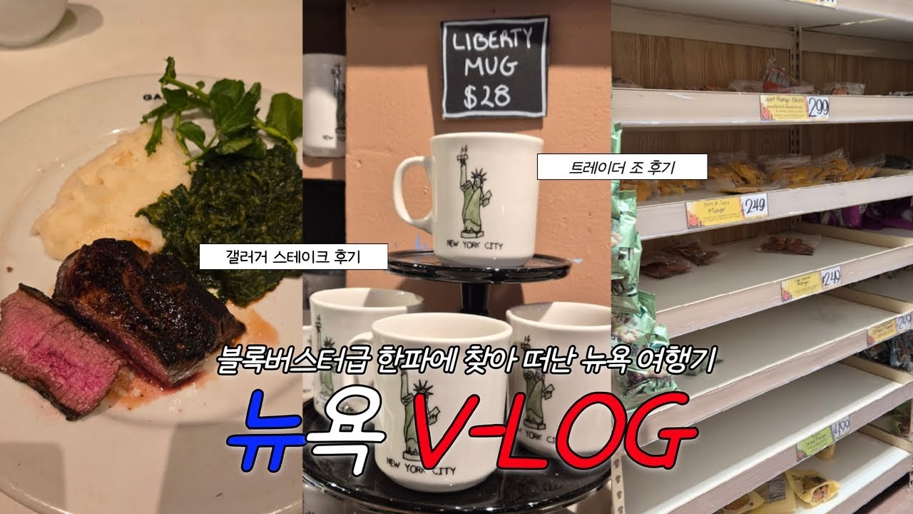 최악의 뉴욕 여행 3일차 | 뉴욕 갤러거 스테이크 | 기념품 쇼핑 | 대재난 상태의 트레이더 조 | ep.3