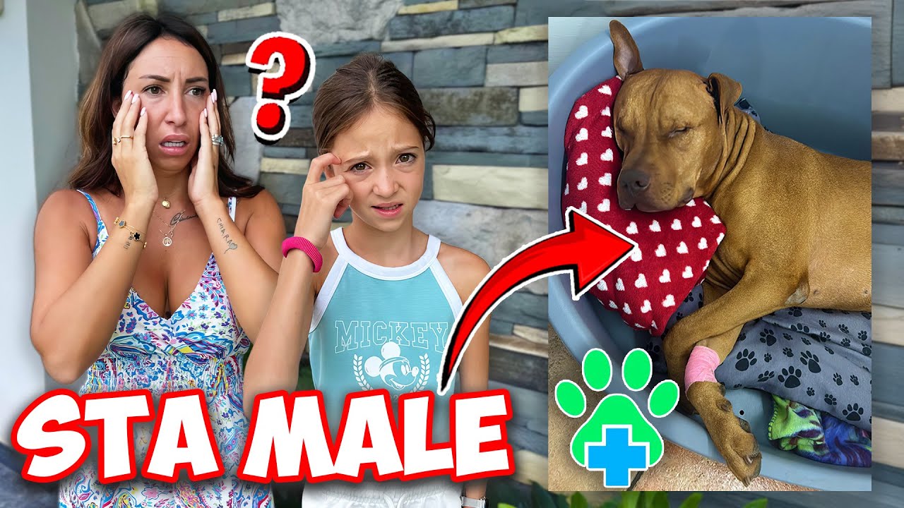 IL NOSTRO CANE ROCKY NON STA BENE E LO PORTIAMO IN CLINICA VETERINARIA!