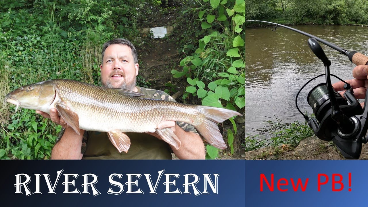 River Severn Barbel Fishing