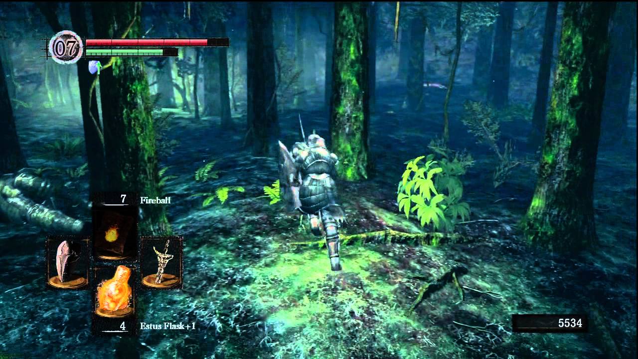 Dark Souls Gameplay Darkroot Garden Uncut HD