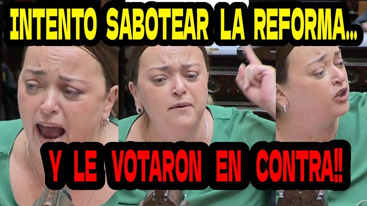 CECILIA MOREAU  INTENTO SABOTEAR LA REFORMA Y PERONISTAS LA TRAICIONARON Y LE VOTARON EN CONTRA!!