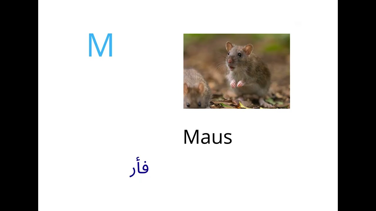 Das Alphabet A B C   تعلم نطق الحروف الالمانية مع الامثلة