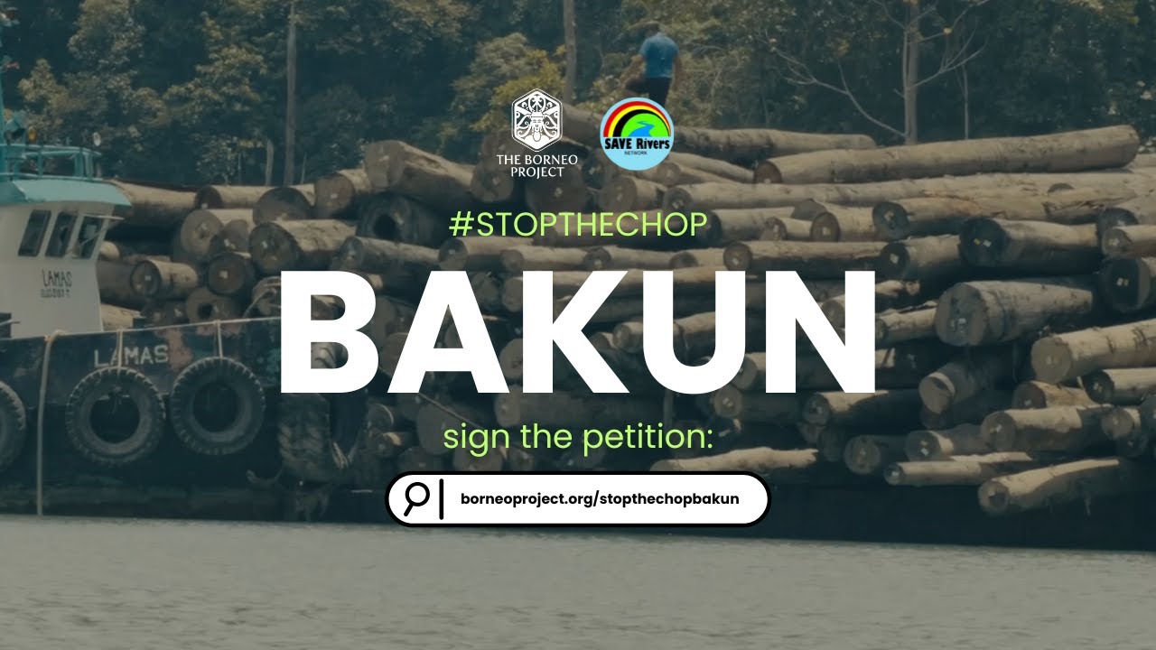 #STOPTHECHOP AT BAKUN