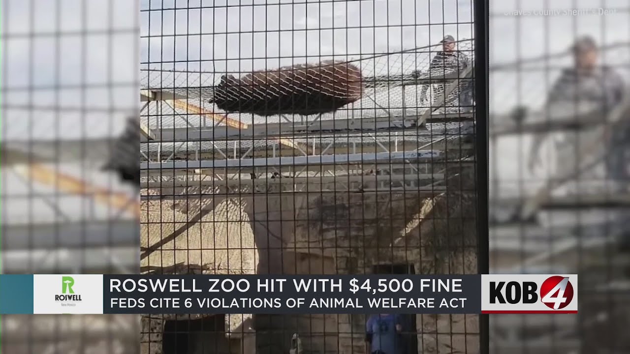 Roswell zoo hit with federal fine for incidents involving animal treatment, escapes