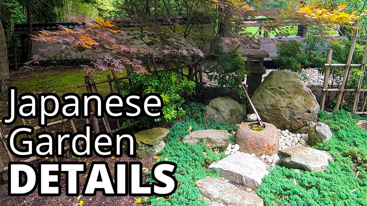 Japanese Garden Details: Maples, Ginkgo, Bamboo, Shape, and Form