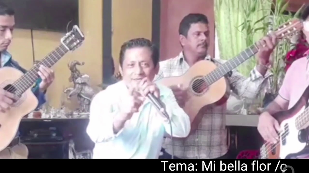 Rockola El Dan Dan full cuerdas