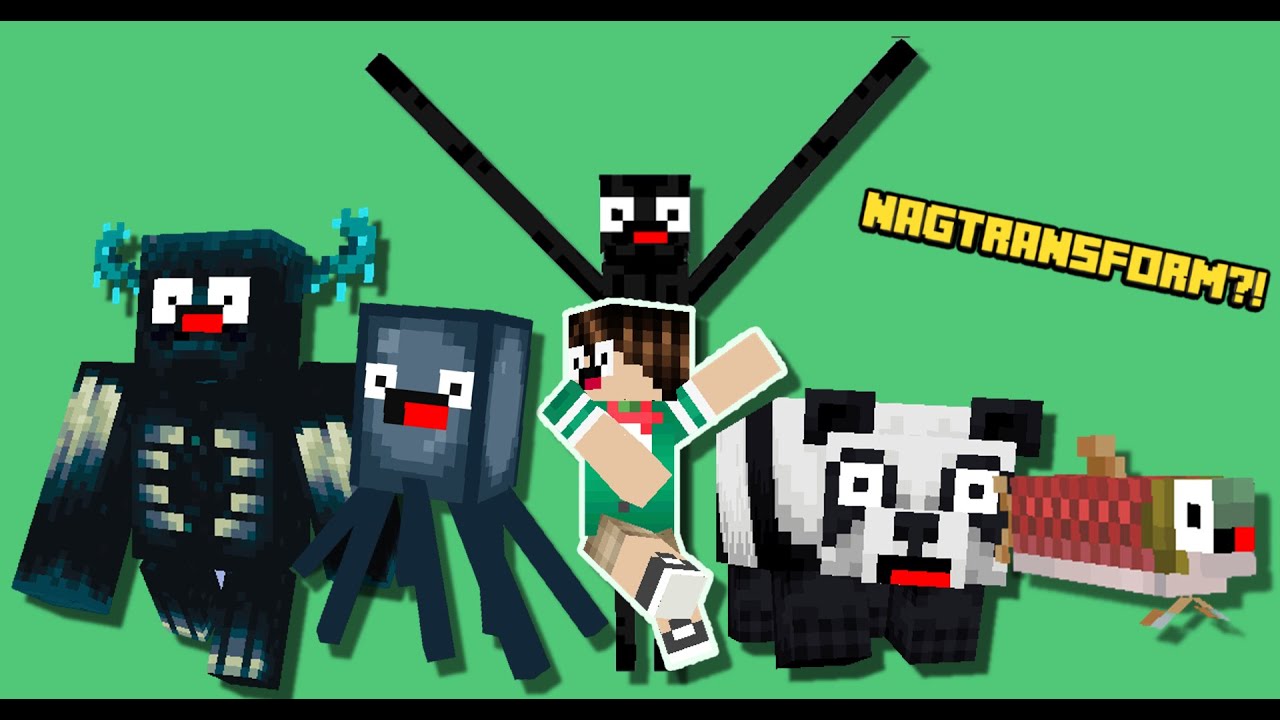 NAGTRANSFORM AKO SA MGA MOBS!! │Minecraft Identity Mod (tagalog)
