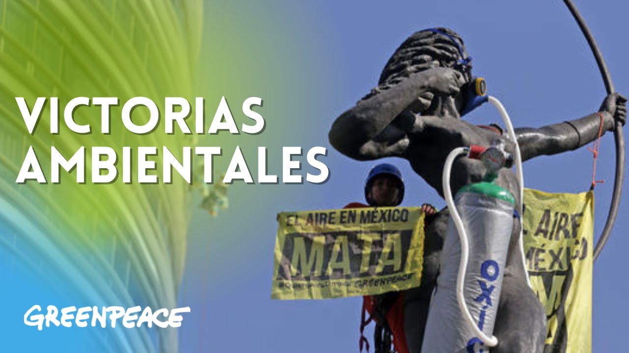 5 cosas que Greenpeace México ha hecho por el medioambiente