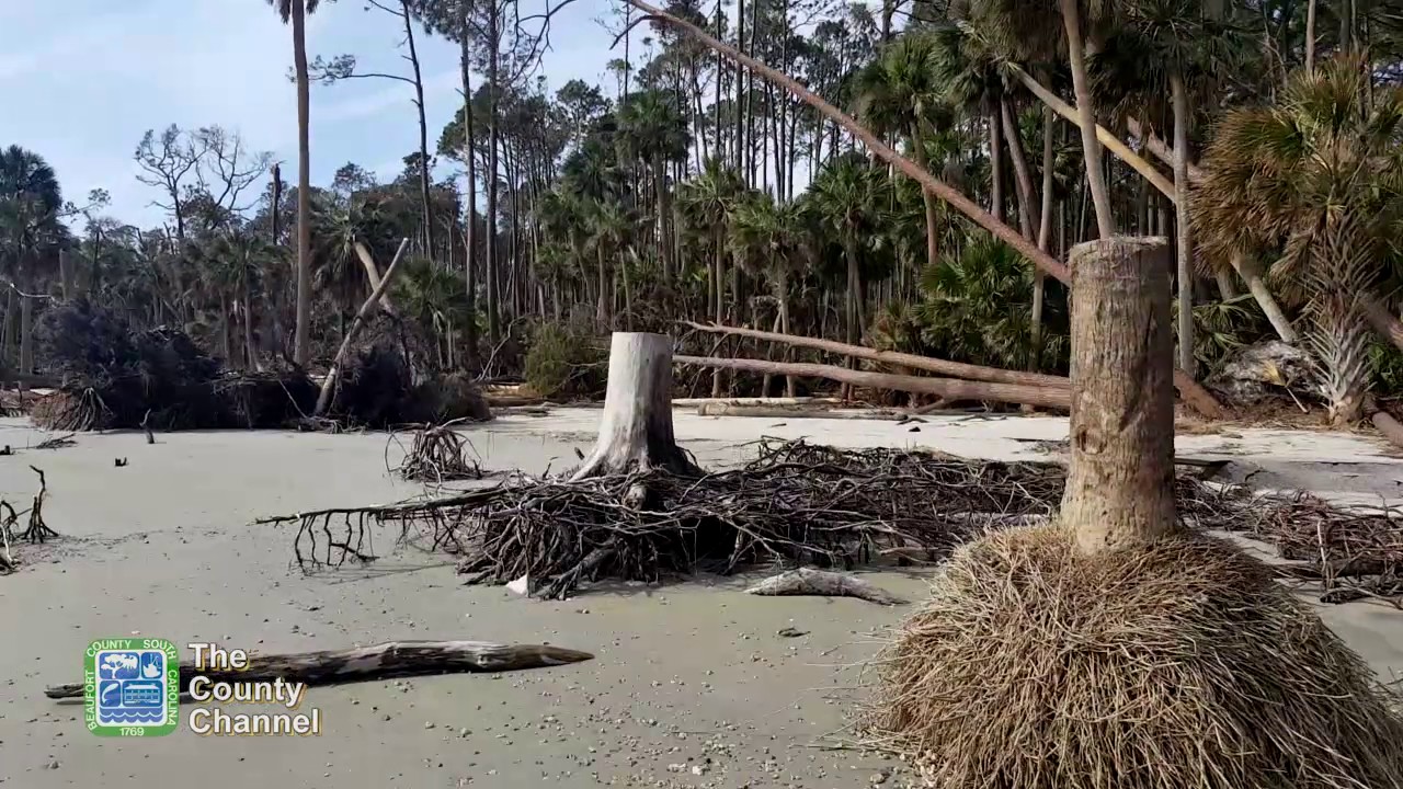 Hunting Island State Park: Hurricane Matthew Damage