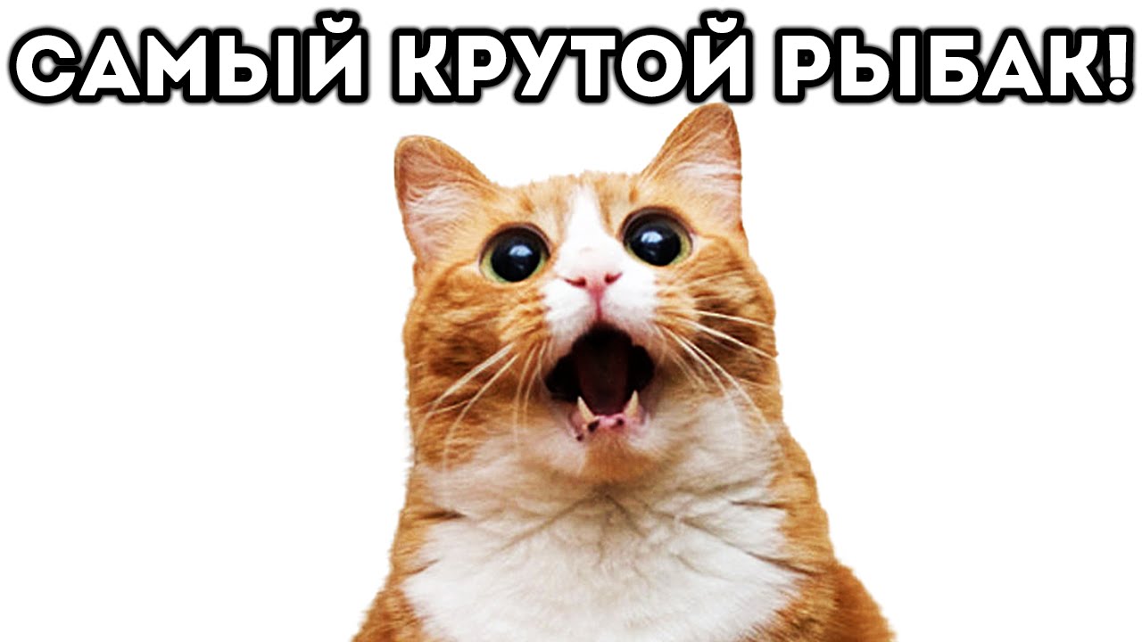 САМЫЙ КРУТОЙ РЫБАК! - Cat Goes Fishing